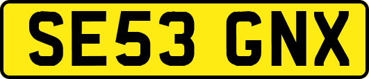 SE53GNX