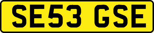 SE53GSE