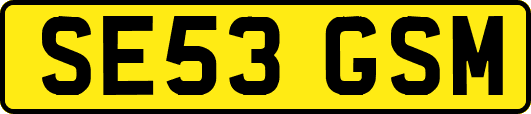 SE53GSM