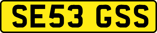SE53GSS