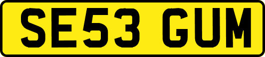 SE53GUM