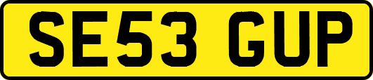 SE53GUP