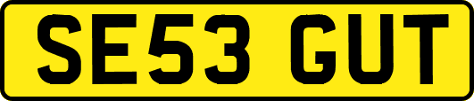 SE53GUT
