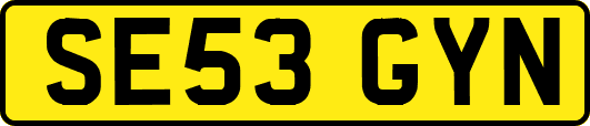SE53GYN
