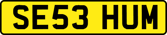 SE53HUM