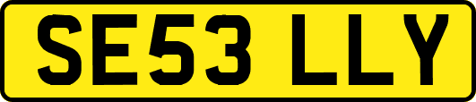 SE53LLY