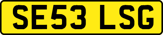 SE53LSG