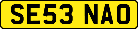 SE53NAO