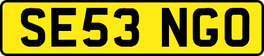 SE53NGO