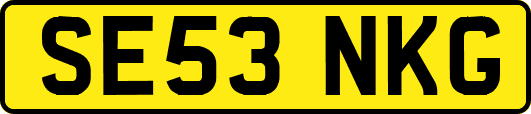 SE53NKG