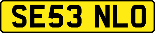 SE53NLO
