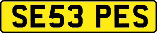 SE53PES