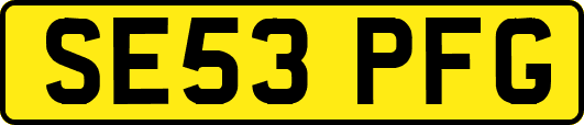 SE53PFG