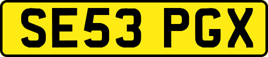 SE53PGX