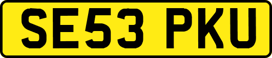 SE53PKU