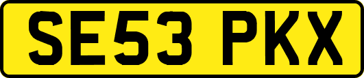 SE53PKX