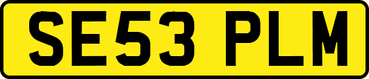 SE53PLM