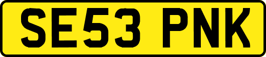 SE53PNK