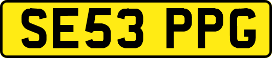 SE53PPG
