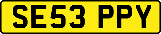SE53PPY