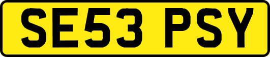 SE53PSY