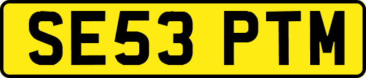 SE53PTM