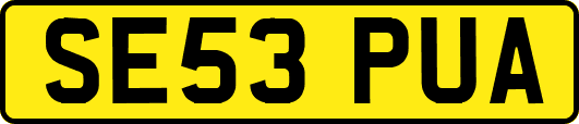SE53PUA