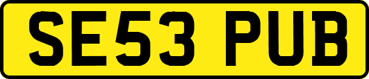 SE53PUB