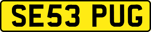 SE53PUG
