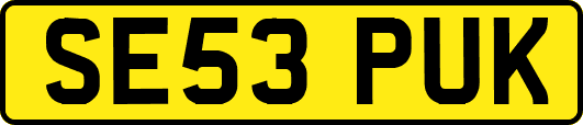 SE53PUK