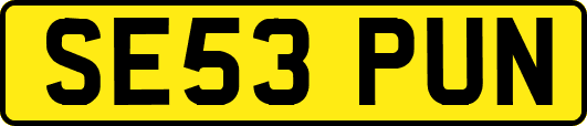 SE53PUN