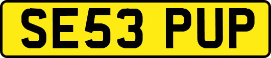 SE53PUP