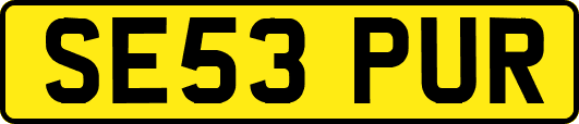 SE53PUR