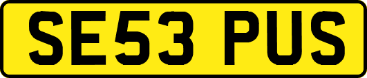 SE53PUS