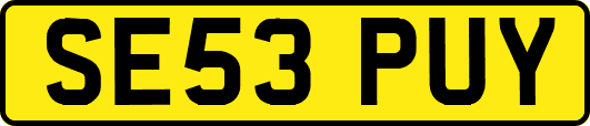 SE53PUY