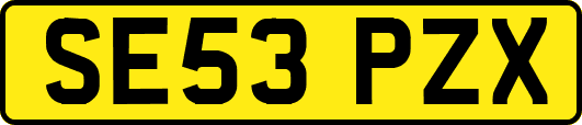 SE53PZX