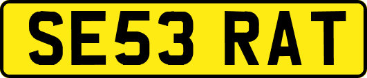 SE53RAT