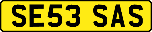 SE53SAS
