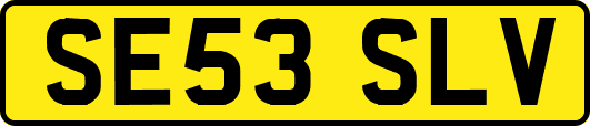 SE53SLV