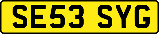SE53SYG
