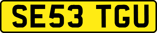 SE53TGU
