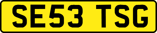 SE53TSG
