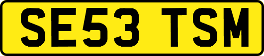 SE53TSM