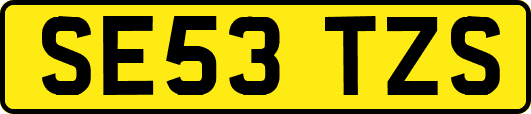SE53TZS