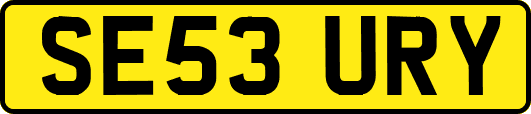SE53URY