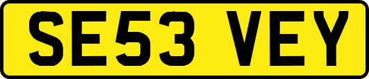 SE53VEY