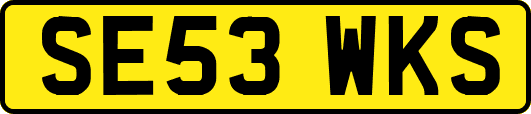 SE53WKS