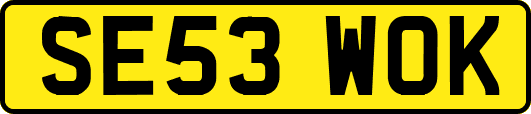 SE53WOK
