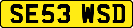 SE53WSD