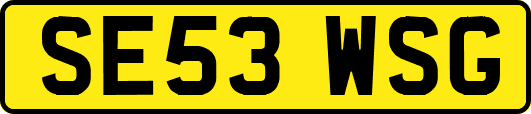 SE53WSG